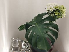 -中粮·祥云小镇
