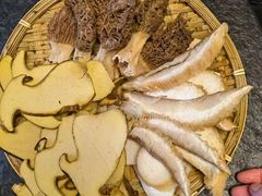 -菌极鲜野生菌火锅店(阳明祠店)