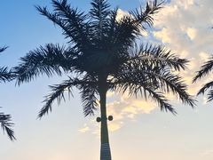 -大同方特欢乐世界
