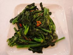 姜汁炒介兰苗-朱仔记食府(江南大道店)