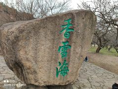 -香雪海