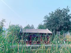 -西海子公园