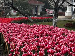 -玄武湖景区-情侣园游乐场