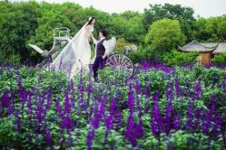 点击看大图 -太郎花子婚纱摄影艺术中心