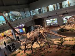 -自贡恐龙博物馆