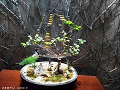 -苏州环秀晓筑养生度假村