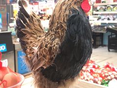 -世纪联华超市(金华双龙店)