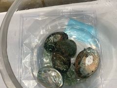 -亨得利名表服务中心(上海湾店)