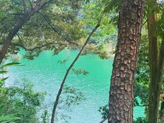 -广州市流溪河国家森林公园