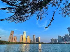 -天鹅湖体育公园