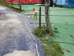 -北京山里寒舍度假酒店