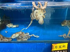 水产区-喜悦小串海鲜烧烤大排档(高新万达店)