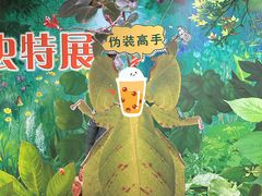 -上海昆虫博物馆