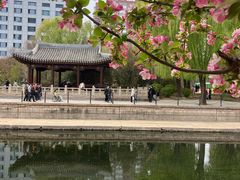 -元大都城垣遗址公园