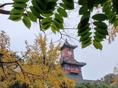 -四川大学(华西校区)