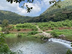 -广州市石门国家森林公园
