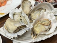 -鲁前海沿儿