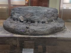 -南越王博物院(王宫展区)