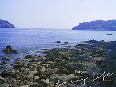 -大长山岛