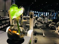 -Liking Fit智能健身(中关村店)