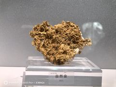 -中国地质博物馆