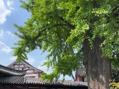 -常熟方塔园