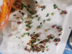 -石岐乳鸽村(桥观坊南四巷店)