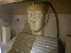 -秃鹫湾·推理大师沉浸式实景演绎推理剧场