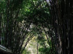 -成都杜甫草堂博物馆