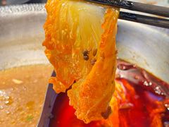 -锅说大脸毛肚重庆老火锅(佐阾店)