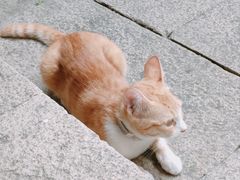 -山塘街