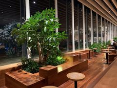 -Seesaw Coffee(朝阳大悦城店)