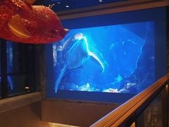 -鑫复盛皇嘉海鲜酒店