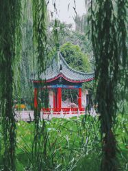 -宝馨月月子中心(友谊医院店)