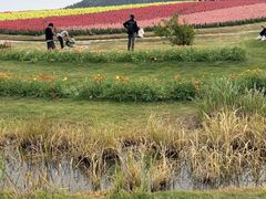 -径山花海