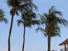 -巴拉湾海滩