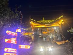 -巴倒烫陆派重庆火锅(南山店)