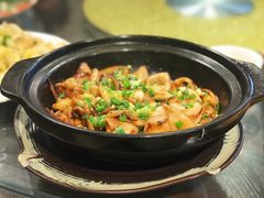 墨鱼-鱼王府大酒店
