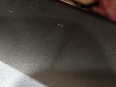 -海宝酒家(中山四路店)