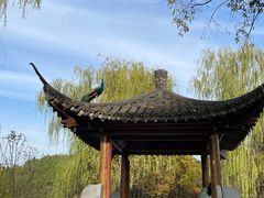 -武汉园博园(武汉自然博物馆)