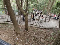 -灵顺寺