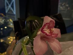 -文华扒房及酒吧(香港文华东方酒店)