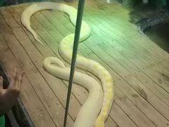 -石家庄市动物园