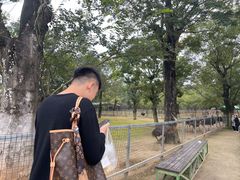 -秀丽东方