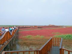 -红海滩国家风景廊道