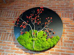 -鸽子窝(宋庄店)