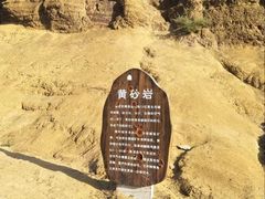 -五龙城郊森林公园