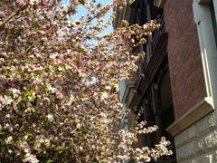 -天津津利华酒店