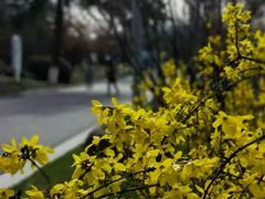 -鸡鸣汤包(广东路店)