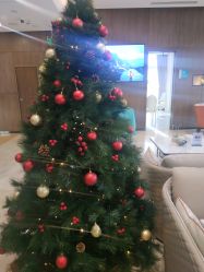 -北京米扬丽格医疗美容·联合丽格鼻整形中心